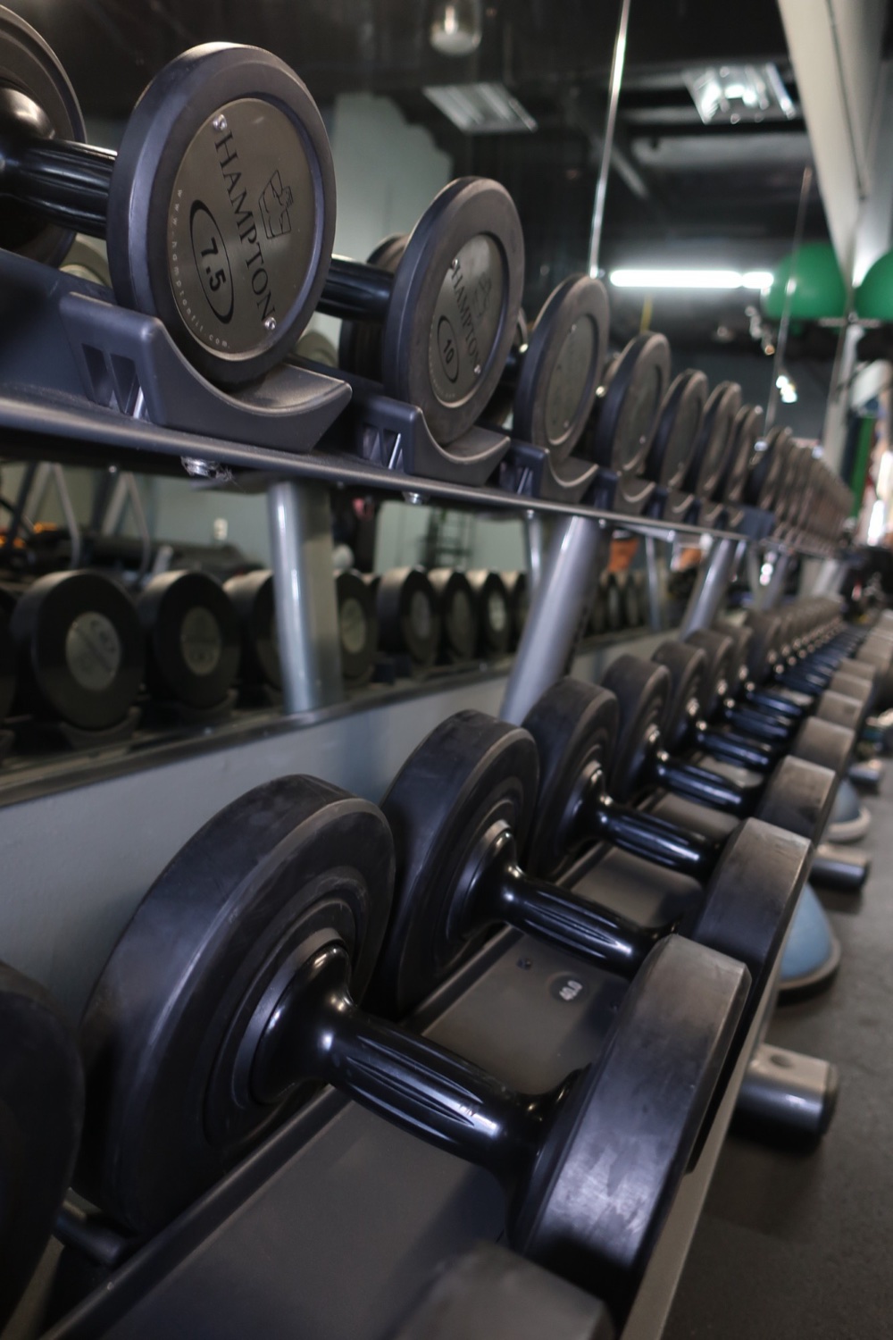 Dumbbell rack at the WERX Personal Training studio